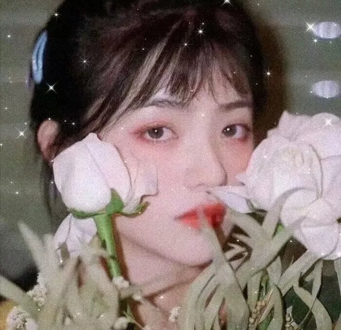 迷失少女日记