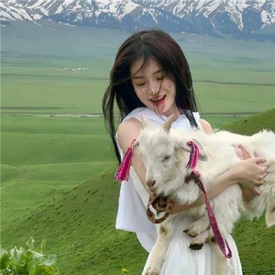 街头女斗士2